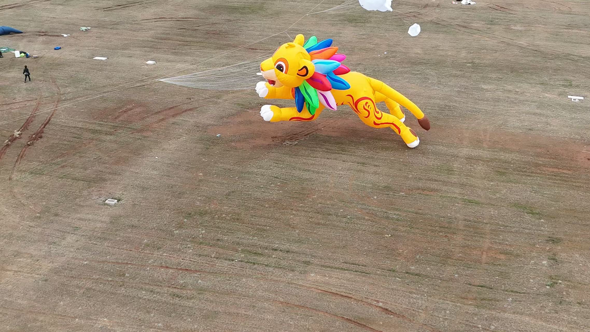 乌鲁木齐市品牌风筝定制风筝商业放飞 - 厂家